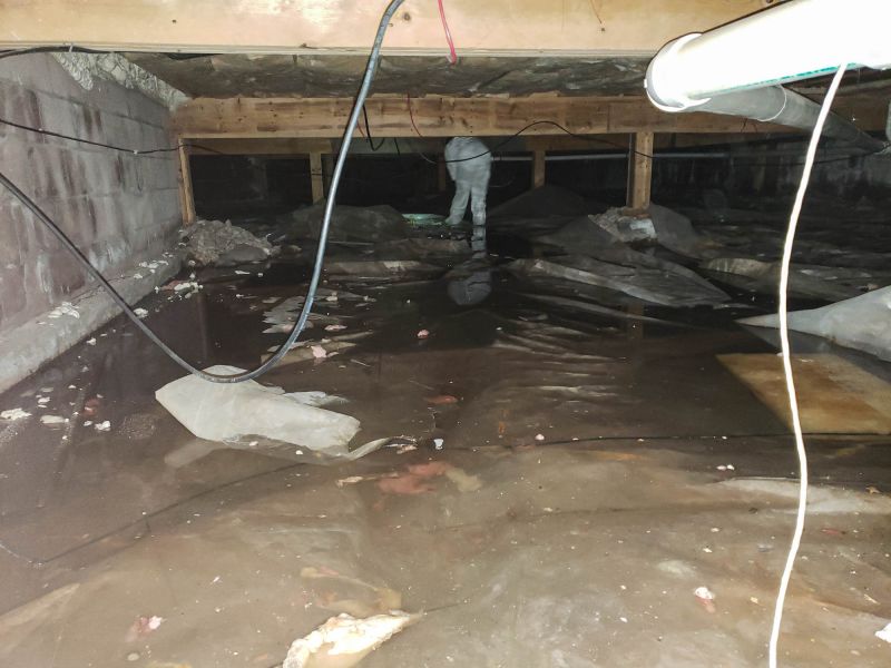 Crawlspace Water Cleanup detail